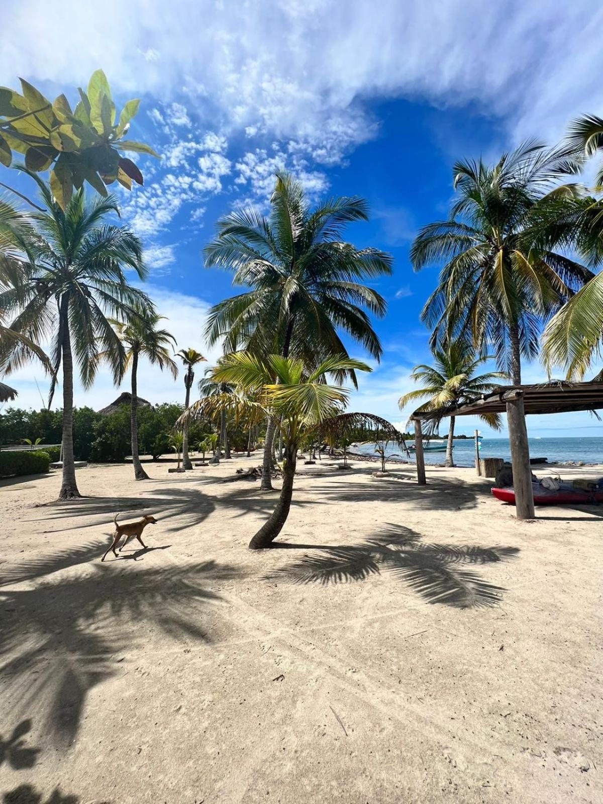 Hostel Beach House Rincón Екстериор снимка